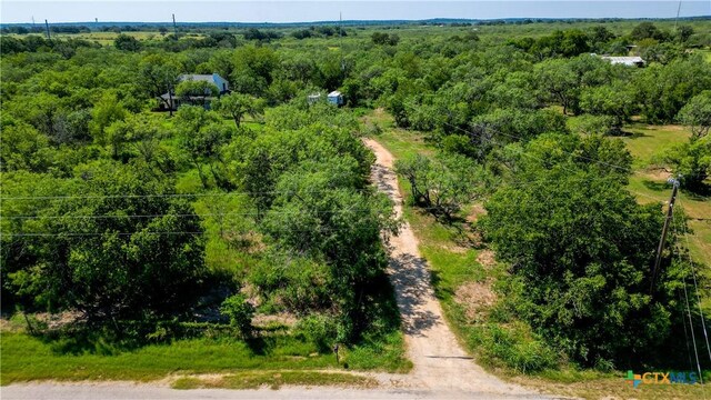 695 Fox Trotter Rd, Seguin, TX 78155 - photo 14