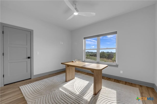 438 Cedar Mountain Dr, Marble Falls, TX 78654 - unfurnished office with light wood-type flooring, baseboards, and ceiling fan