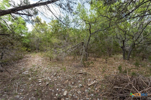 13921 Nutty Brown Rd, Austin, TX 78737 - photo 5