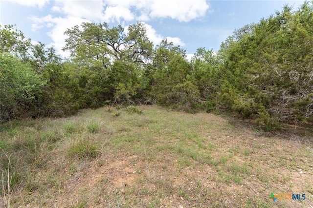 13921 Nutty Brown Rd, Austin, TX 78737 - photo 2