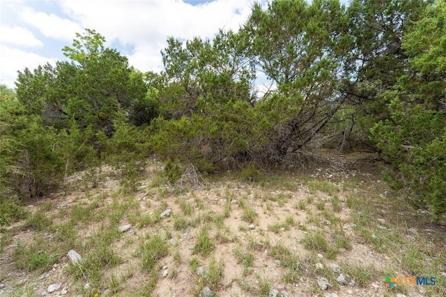 13921 Nutty Brown Rd, Austin, TX 78737 - photo 4