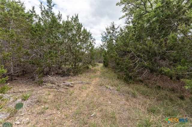 13921 Nutty Brown Rd, Austin, TX 78737 - photo 3