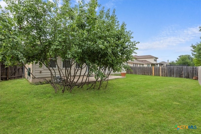 7778 Little Deer Trl, Georgetown, TX 78628 - view of yard featuring a fenced backyard