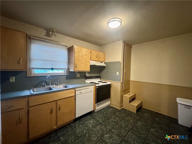 503 Dunn St, Yoakum, TX 77995 - kitchen with wainscoting, under cabinet range hood, white dishwasher, electric range oven, and a sink