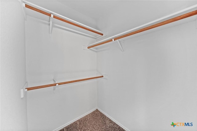 walk in closet featuring carpet