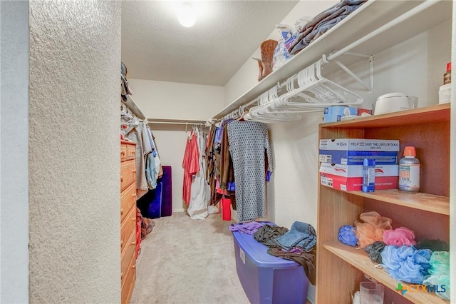 spacious closet with carpet flooring