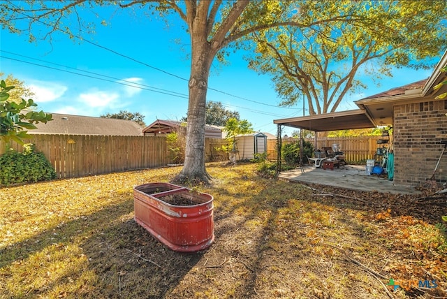 view of yard with a patio and a shed