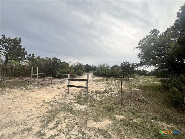 19705 Tyler Trl, Leander, TX 78645 - photo 1