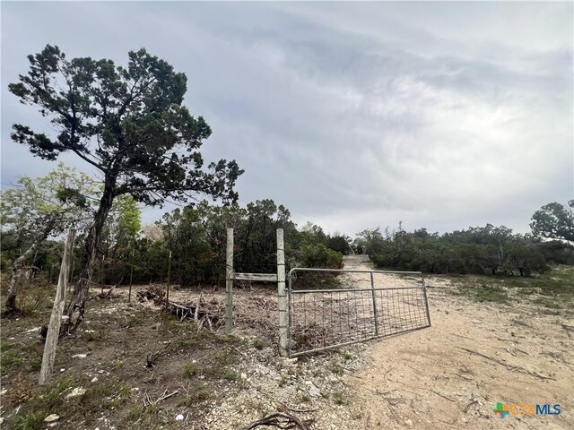 19705 Tyler Trl, Leander, TX 78645 - photo 5