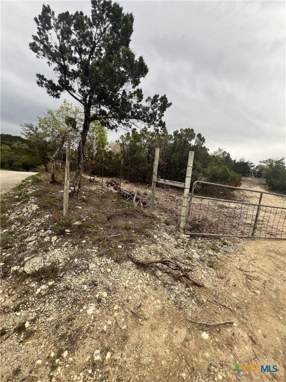 19705 Tyler Trl, Leander, TX 78645 - photo 4