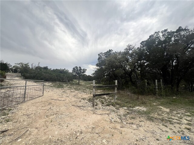 19705 Tyler Trl, Leander, TX 78645 - photo 7