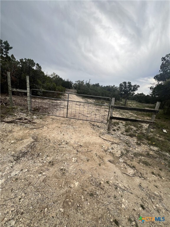 19705 Tyler Trl, Leander, TX 78645 - photo 8
