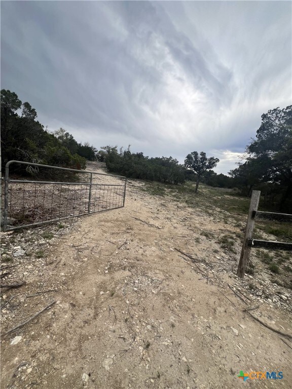 19705 Tyler Trl, Leander, TX 78645 - photo 3