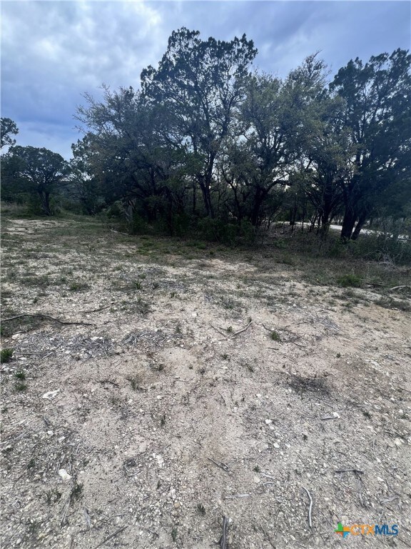 19705 Tyler Trl, Leander, TX 78645 - photo 2