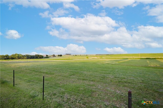 view of yard with a rural view