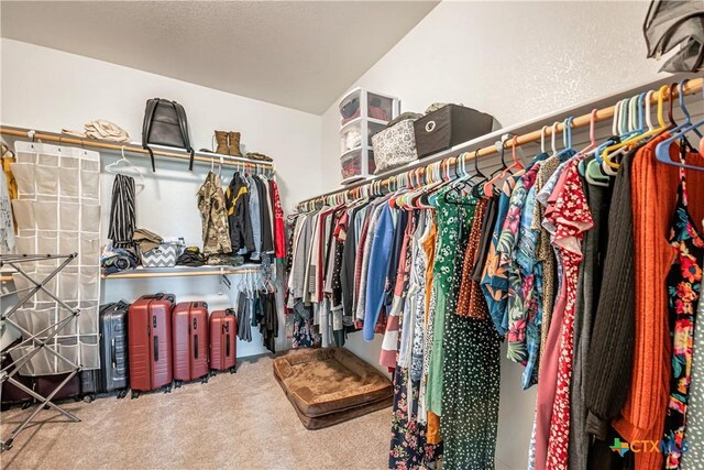 822 Old World Dr, Harker Heights, TX 76548 - walk in closet featuring carpet
