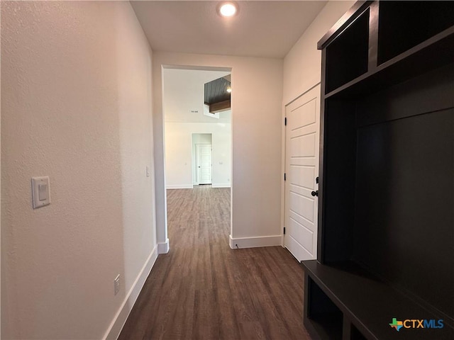 mudroom with dark hardwood / wood-style flooring