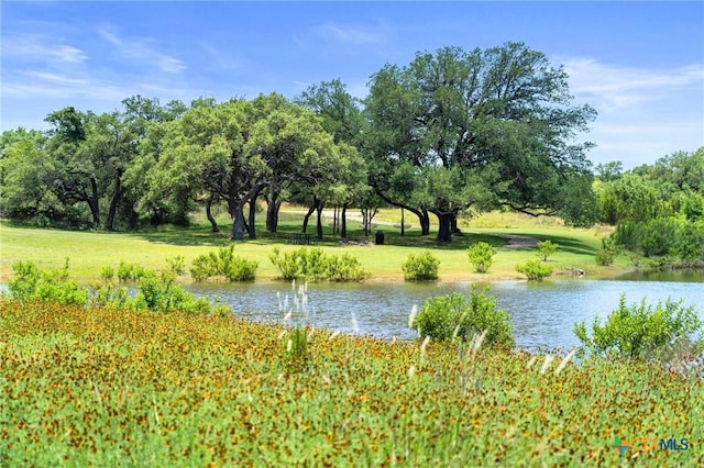 577 Cattle Creek Rd, Johnson City, TX 78636 - photo 34