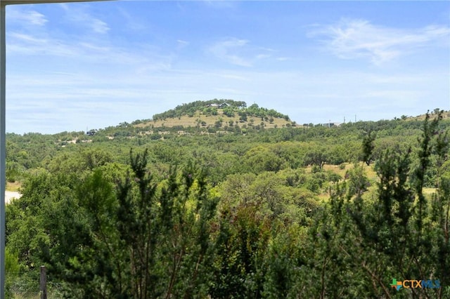 577 Cattle Creek Rd, Johnson City, TX 78636 - photo 33