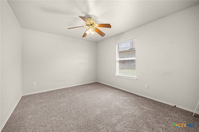 5012 Fawn Dr, Killeen, TX 76542 - photo 16