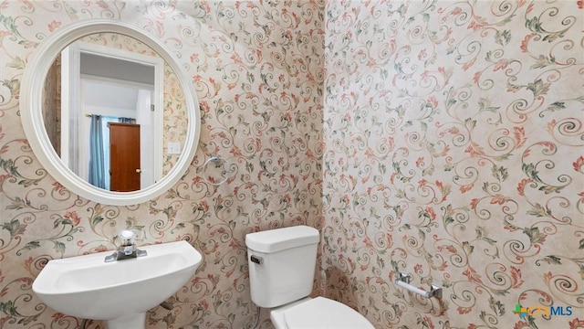 bathroom with a sink, toilet, and wallpapered walls