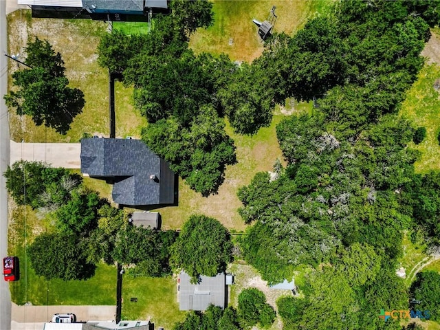 313 Hunter Ridge Rd, San Marcos, TX 78666 - photo 40