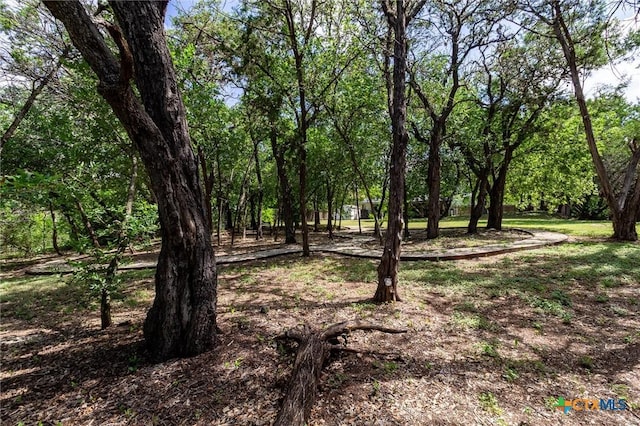 313 Hunter Ridge Rd, San Marcos, TX 78666 - photo 31
