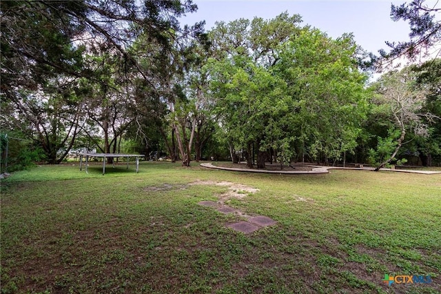 313 Hunter Ridge Rd, San Marcos, TX 78666 - photo 30