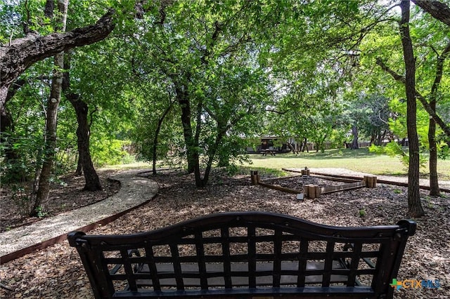313 Hunter Ridge Rd, San Marcos, TX 78666 - photo 32
