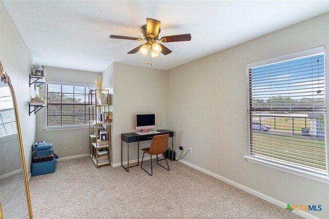 313 Hunter Ridge Rd, San Marcos, TX 78666 - photo 21