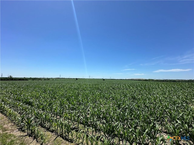 1717 Willow Rd, Temple, TX 76501