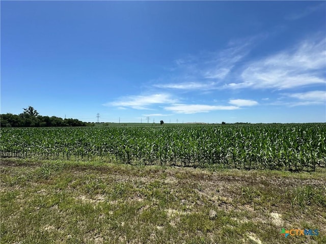 1717 Willow Rd, Temple, TX 76501