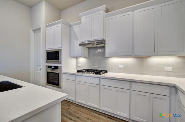 734 Groudsel Ave, New Braunfels, TX 78132 - photo 4
