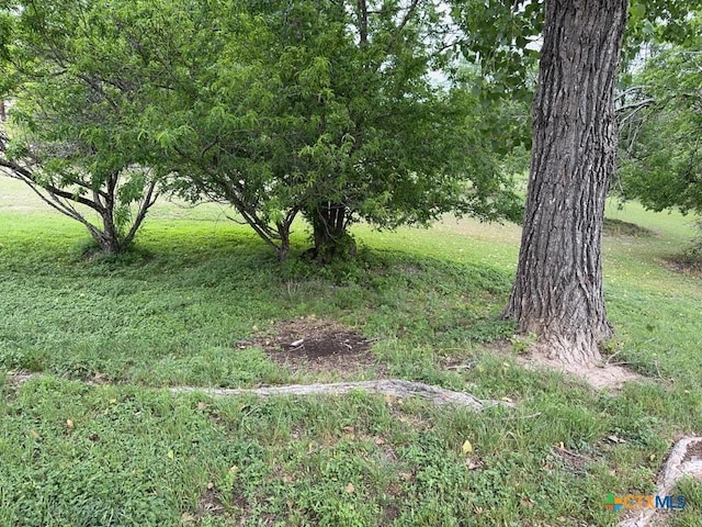 2581 County Road 4930, Kempner, TX 76539 - photo 19