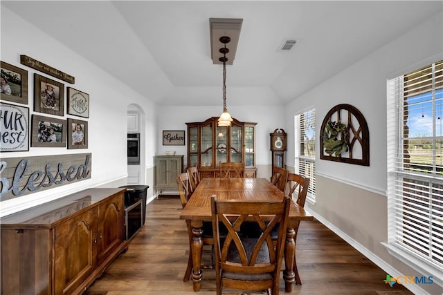 dining room featuring a wealth of natural light, dark wood-type flooring, and visible vents