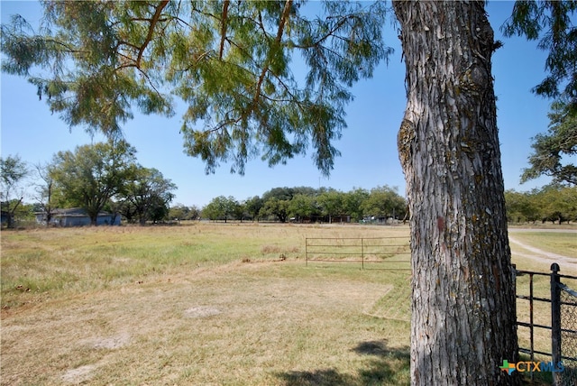 view of yard featuring a rural view