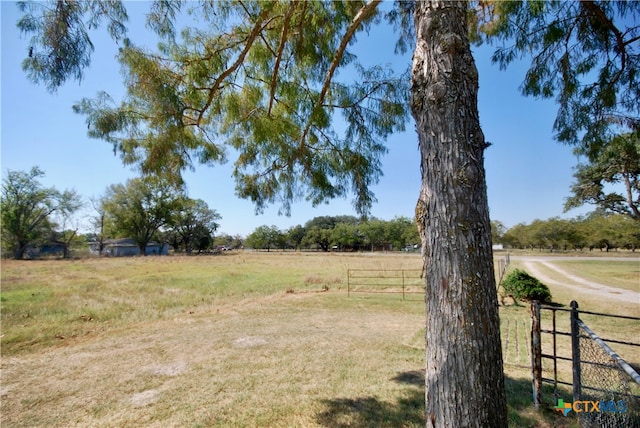 view of yard with a rural view