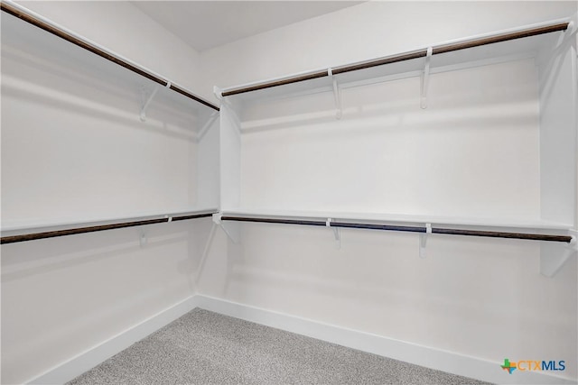 spacious closet with carpet flooring