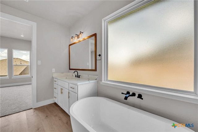 bathroom featuring a tub to relax in, hardwood / wood-style floors, and vanity