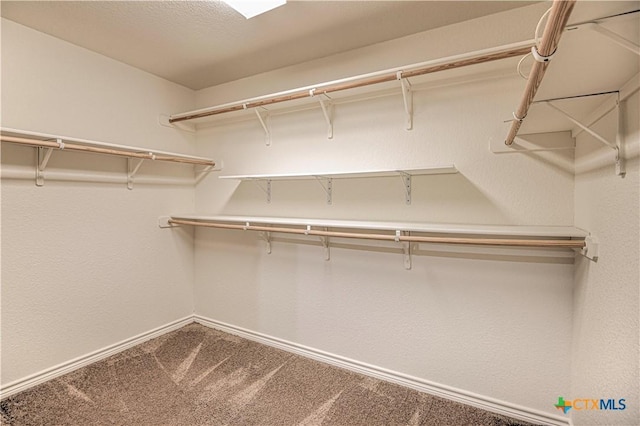 walk in closet with carpet