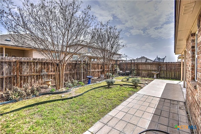 view of yard with a patio area and a fenced backyard