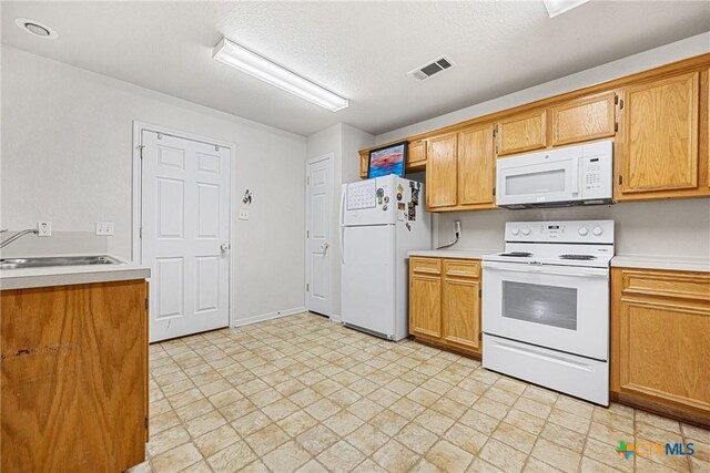 308 Janelle Dr, Copperas Cove, TX 76522 - photo 25