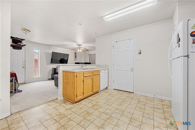 308 Janelle Dr, Copperas Cove, TX 76522 - photo 27