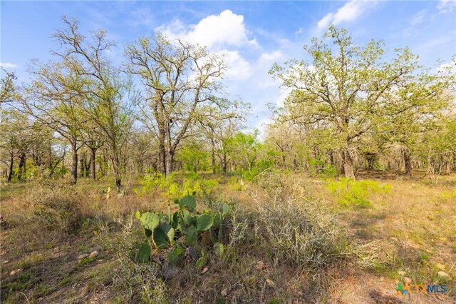 000 Old Seguin Luling Rd, Seguin, TX 78155 - photo 22