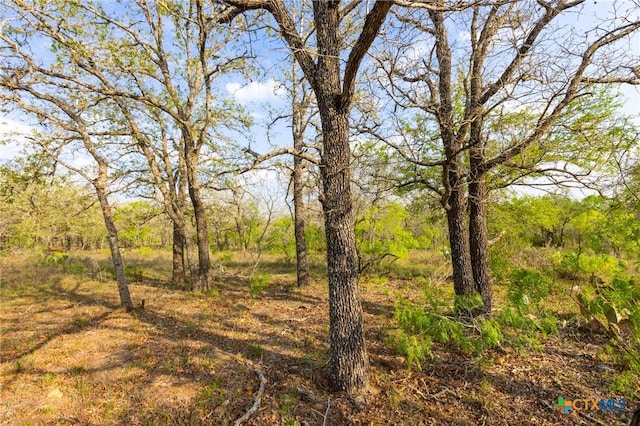 000 Old Seguin Luling Rd, Seguin, TX 78155 - photo 23