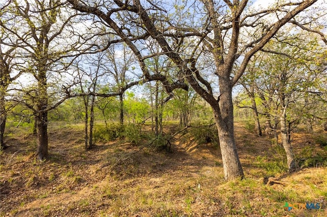 000 Old Seguin Luling Rd, Seguin, TX 78155 - photo 24