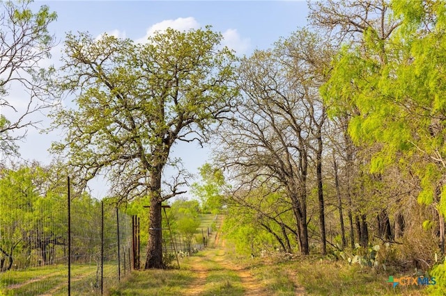 000 Old Seguin Luling Rd, Seguin, TX 78155 - photo 6