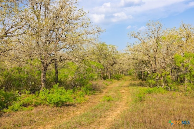 000 Old Seguin Luling Rd, Seguin, TX 78155 - photo 9