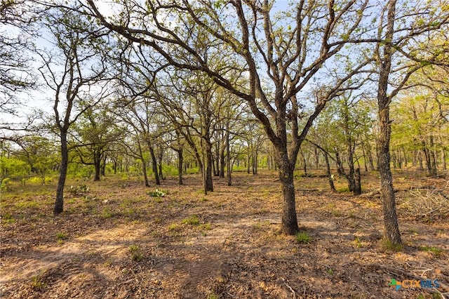 000 Old Seguin Luling Rd, Seguin, TX 78155 - photo 21