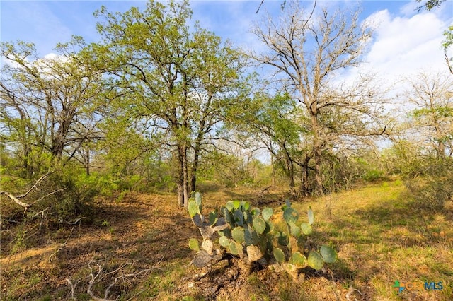 000 Old Seguin Luling Rd, Seguin, TX 78155 - photo 20